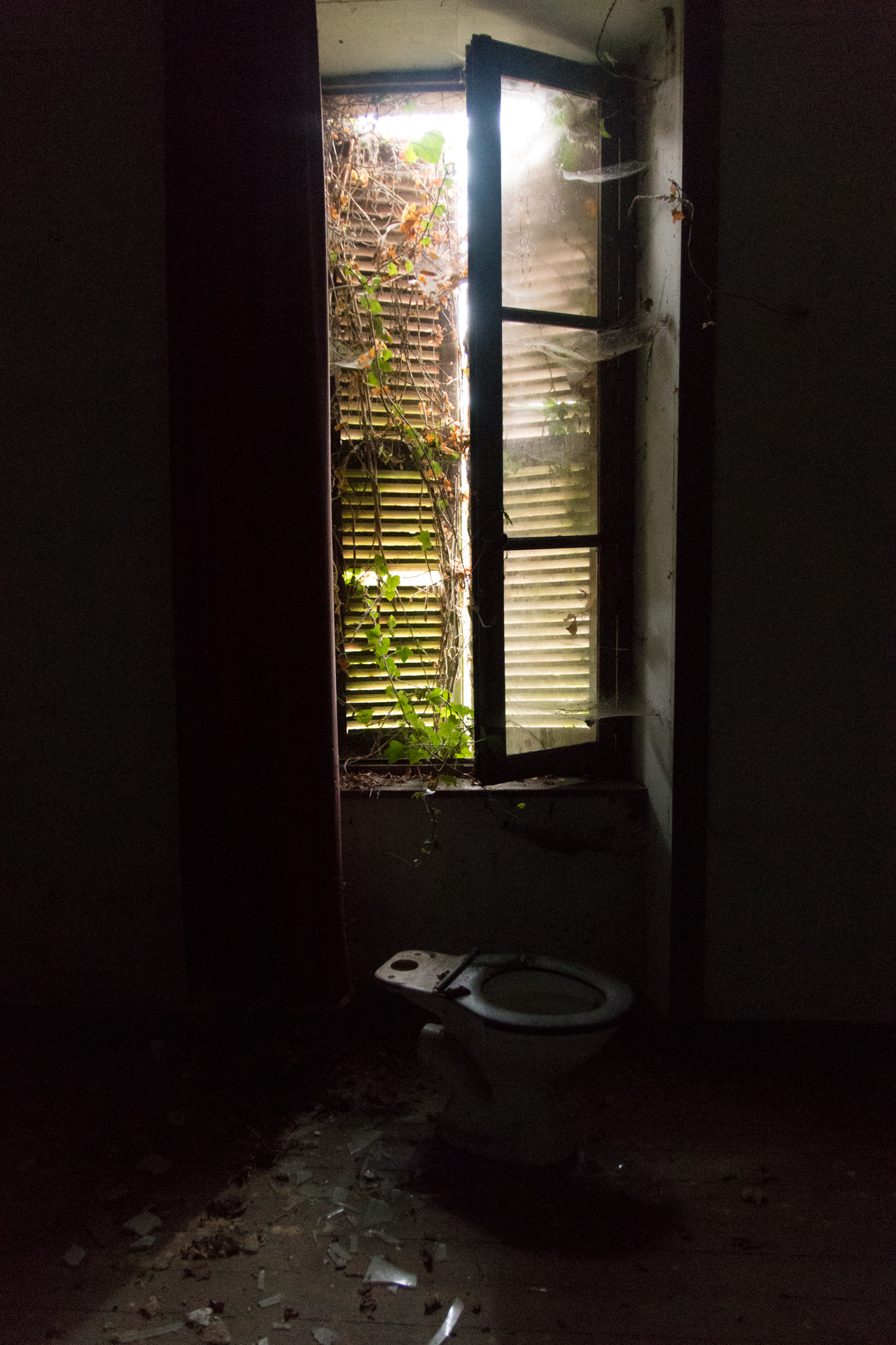 L' Oeil Noir Photographie